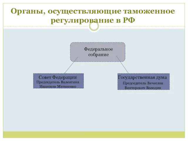 Органы, осуществляющие таможенное регулирование в РФ Федеральное собрание Совет Федерации