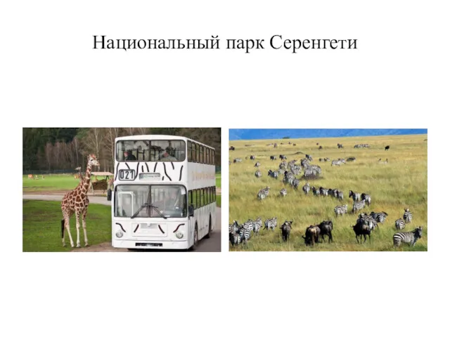 Национальный парк Серенгети