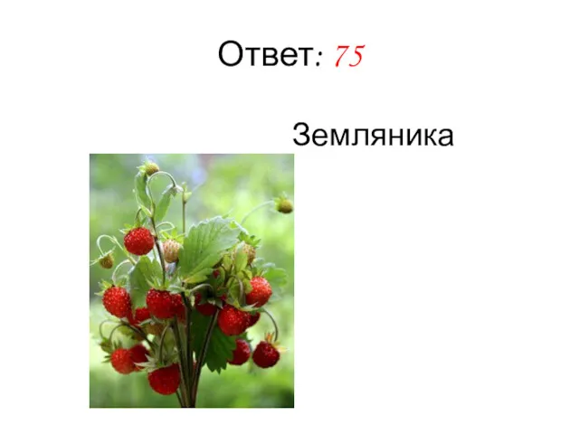 Ответ: 75 Земляника