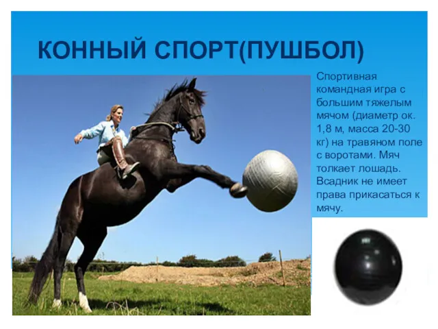 КОННЫЙ СПОРТ(ПУШБОЛ) Спортивная командная игра с большим тяжелым мячом (диаметр
