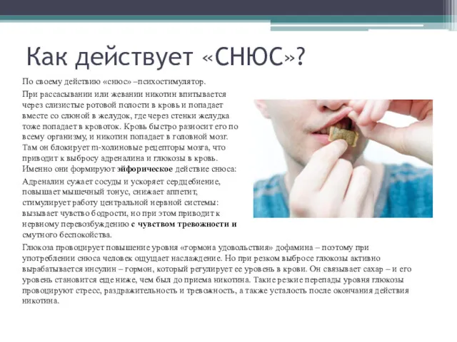 По своему действию «снюс» –психостимулятор. При рассасывании или жевании никотин