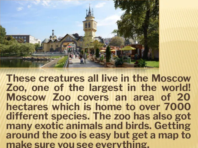 These creatures all live in the Moscow Zoo, one of