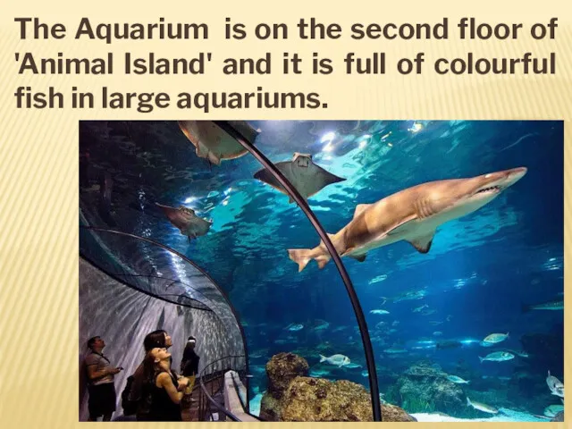 The Aquarium is on the second floor of 'Animal Island'