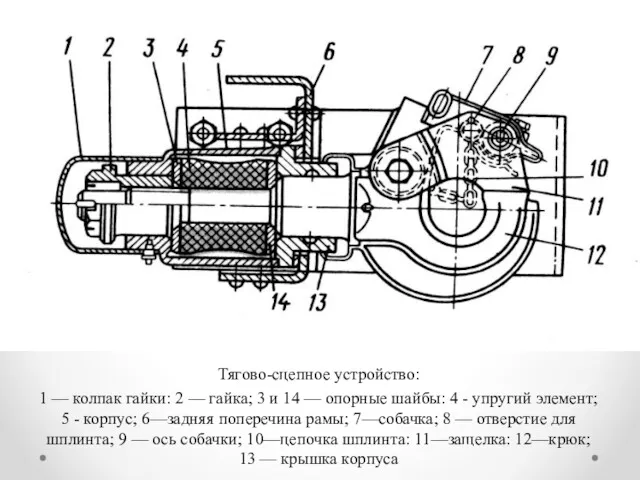 Тягово-сцепное устройство: 1 — колпак гайки: 2 — гайка; 3