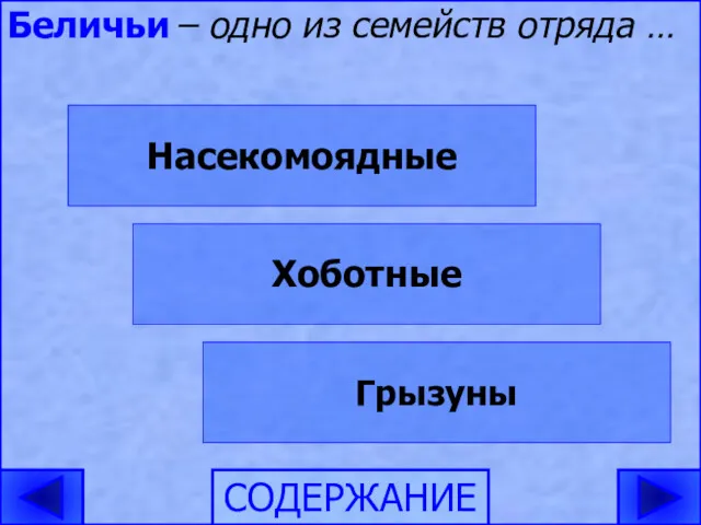 Насекомоядные Грызуны Хоботные СОДЕРЖАНИЕ Беличьи – одно из семейств отряда …