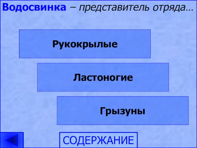 Водосвинка – представитель отряда… Рукокрылые Грызуны Ластоногие СОДЕРЖАНИЕ