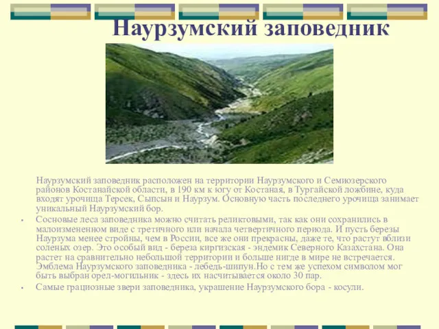 Наурзумский заповедник Наурзумский заповедник расположен на территории Наурзумского и Семиозерского