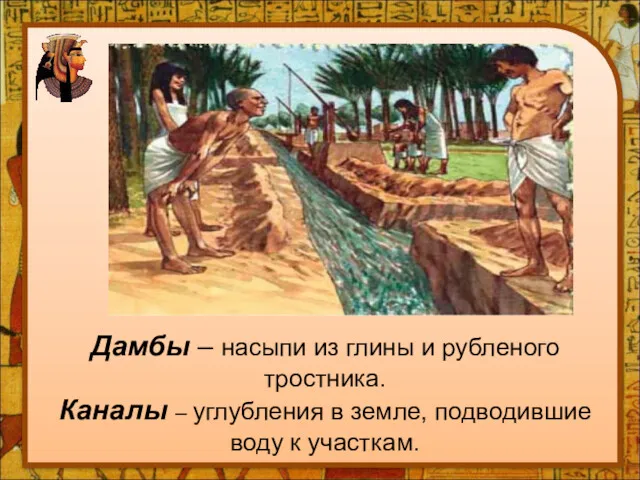 Дамбы – насыпи из глины и рубленого тростника. Каналы – углубления в земле,