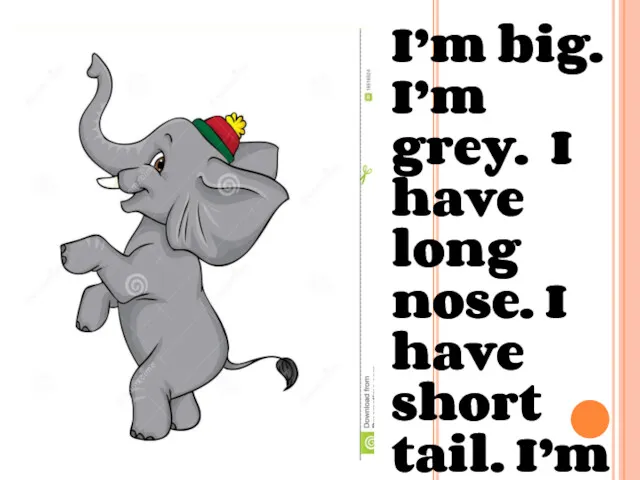 I’m big. I’m grey. I have long nose. I have short tail. I’m an …