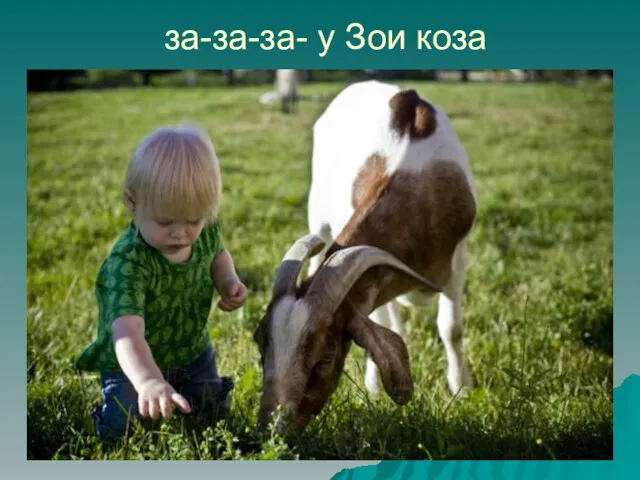 за-за-за- у Зои коза