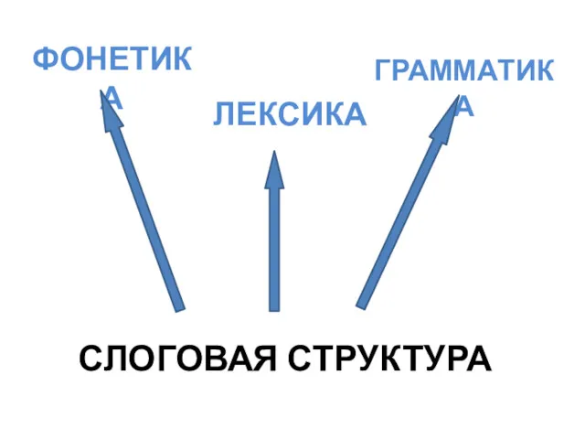 СЛОГОВАЯ СТРУКТУРА ФОНЕТИКА ЛЕКСИКА ГРАММАТИКА