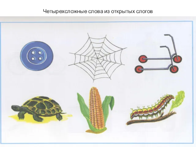 Четырехсложные слова из открытых слогов