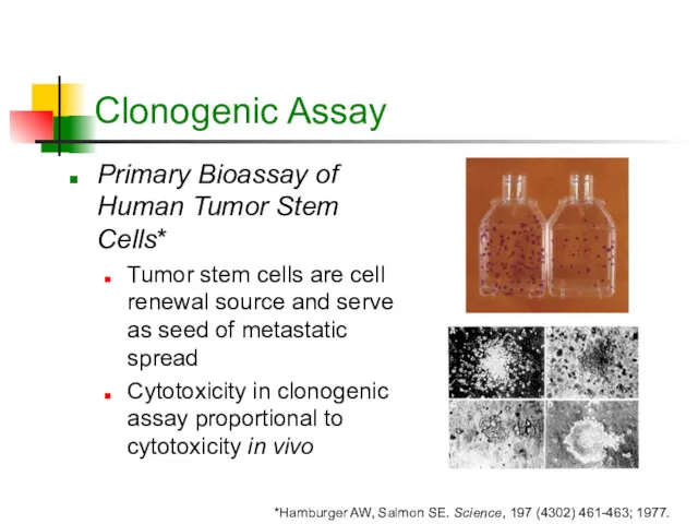 Clonogenic Assay Primary Bioassay of Human Tumor Stem Cells* Tumor