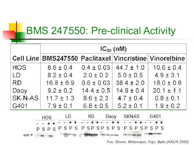 BMS 247550: Pre-clinical Activity Fox, Stover, Widemann, Fojo, Balis (AACR 2003)