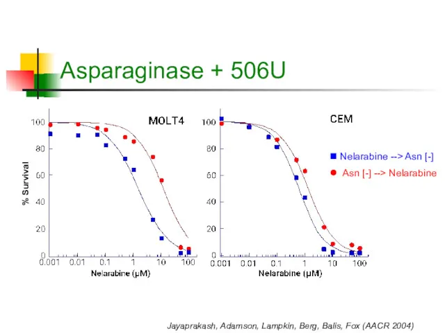 Asparaginase + 506U Nelarabine --> Asn [-] Asn [-] -->