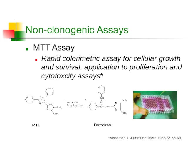 Non-clonogenic Assays MTT Assay Rapid colorimetric assay for cellular growth