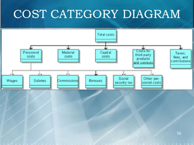 COST CATEGORY DIAGRAM