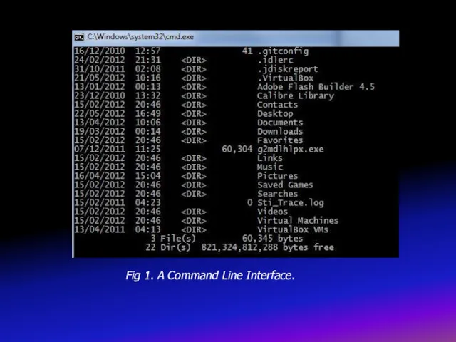 Fig 1. A Command Line Interface.