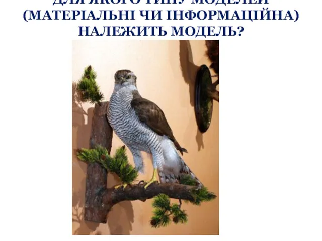 ДЛЯ ЯКОГО ТИПУ МОДЕЛЕЙ (МАТЕРІАЛЬНІ ЧИ ІНФОРМАЦІЙНА) НАЛЕЖИТЬ МОДЕЛЬ?