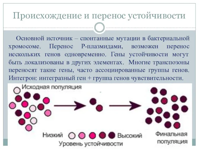 Происхождение и перенос устойчивости Основной источник – спонтанные мутации в