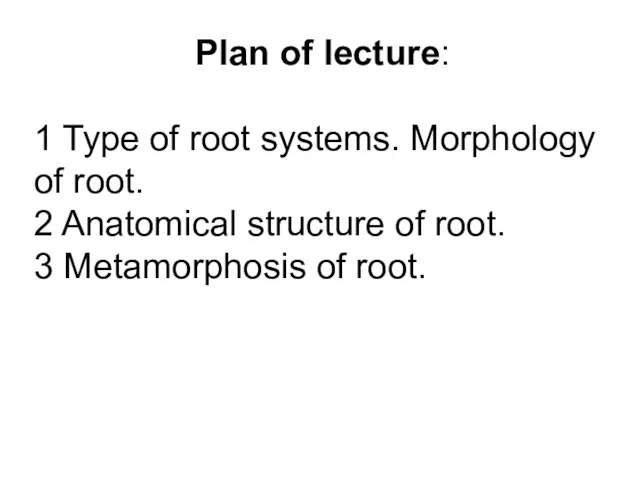 Plan of lecture: 1 Type of root systems. Morphology of root. 2 Anatomical