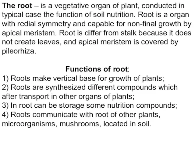 The root – is a vegetative organ of plant, conducted in typical case