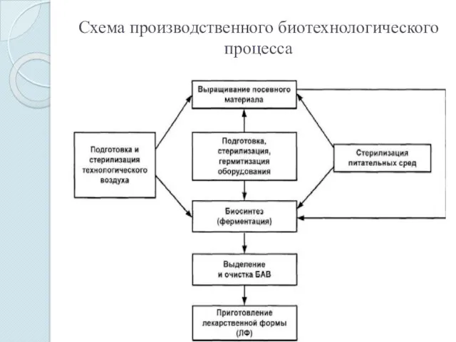 Схема производственного биотехнологического процесса