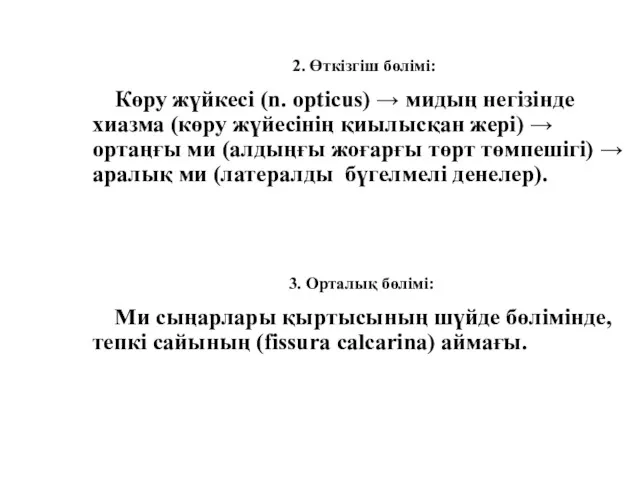 2. Өткізгіш бөлімі: Көру жүйкесі (n. opticus) → мидың негізінде