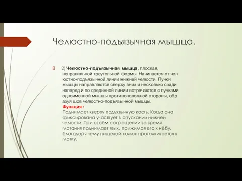 Челюстно-подъязычная мышца. 2) Челюстно-подъязычная мышца, плоская, неправильной треугольной формы. Начинается