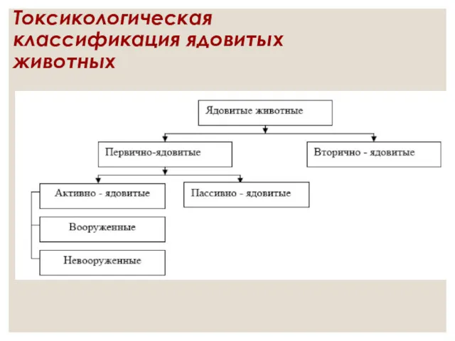 Токсикологическая классификация ядовитых животных