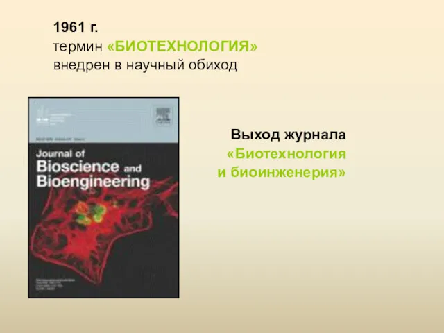 1961 г. термин «БИОТЕХНОЛОГИЯ» внедрен в научный обиход Выход журнала «Биотехнология и биоинженерия»