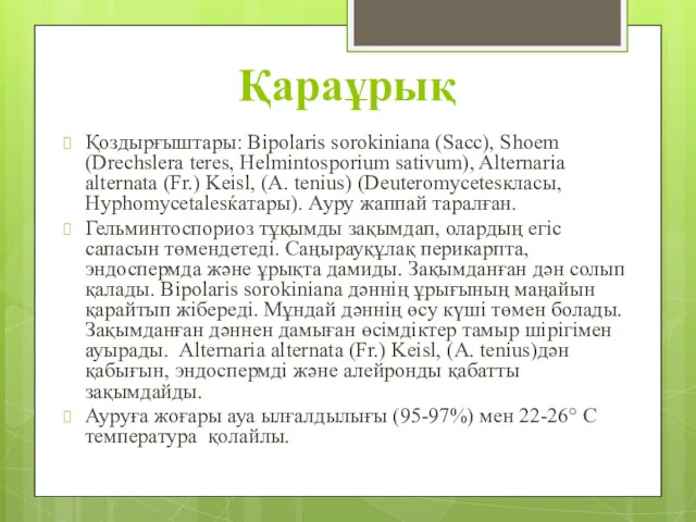 Қараұрық Қоздырғыштары: Bipolaris sorokiniana (Sacc), Shoem (Drechslera teres, Helmintosporium sativum),