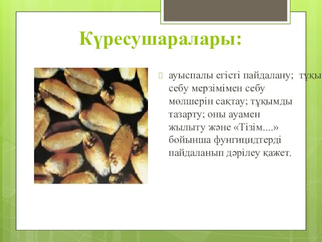 Күресушаралары: ауыспалы егісті пайдалану; тұқымды себу мерзімімен себу мөлшерін сақтау;