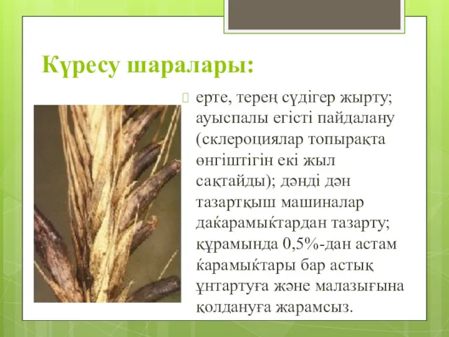 Күресу шаралары: ерте, терең сүдігер жырту; ауыспалы егісті пайдалану (склероциялар