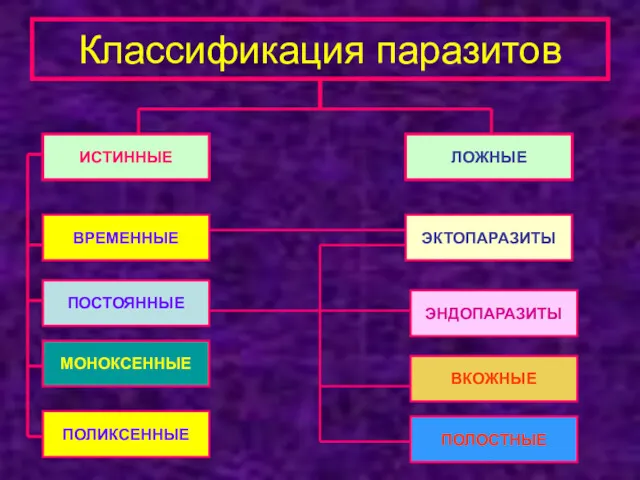 Классификация паразитов ИСТИННЫЕ ВРЕМЕННЫЕ ПОСТОЯННЫЕ ВКОЖНЫЕ ЭНДОПАРАЗИТЫ ЭКТОПАРАЗИТЫ ЛОЖНЫЕ МОНОКСЕННЫЕ ПОЛИКСЕННЫЕ ПОЛОСТНЫЕ