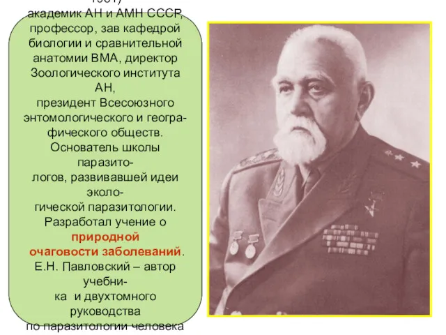 Е.Н. Павловский (1864 -1961)- академик АН и АМН СССР, профессор,