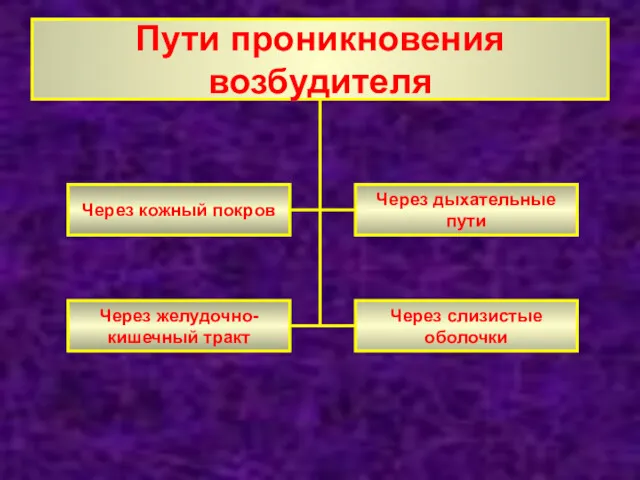 Пути проникновения возбудителя Через кожный покров Через желудочно- кишечный тракт Через слизистые оболочки Через дыхательные пути