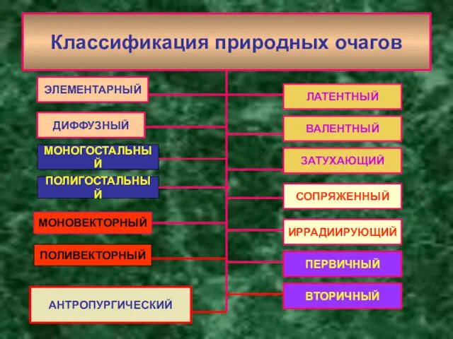 Классификация природных очагов ЭЛЕМЕНТАРНЫЙ МОНОГОСТАЛЬНЫЙ ПОЛИГОСТАЛЬНЫЙ ВАЛЕНТНЫЙ ЛАТЕНТНЫЙ ДИФФУЗНЫЙ ЗАТУХАЮЩИЙ