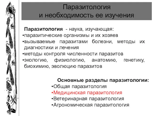 Паразитология и необходимость ее изучения Паразитология - наука, изучающая: паразитические