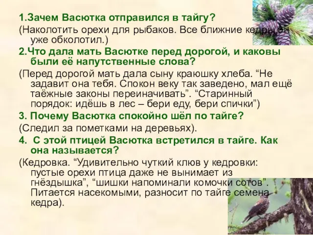 1.Зачем Васютка отправился в тайгу? (Наколотить орехи для рыбаков. Все