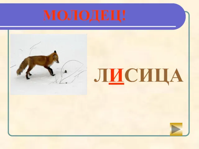 ЛИСИЦА МОЛОДЕЦ!