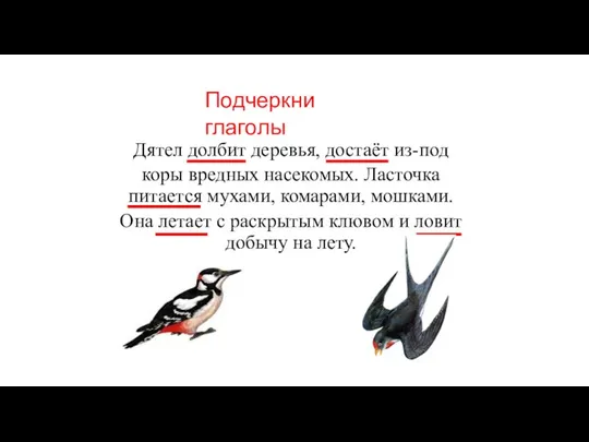 Дятел долбит деревья, достаёт из-под коры вредных насекомых. Ласточка питается