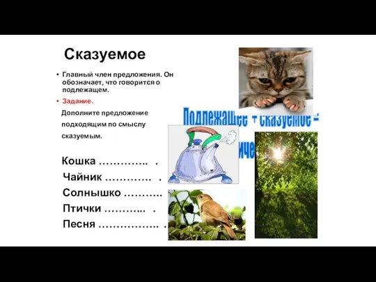 Сказуемое Главный член предложения. Он обозначает, что говорится о подлежащем.