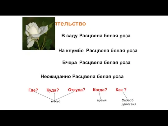 Обстоятельство Расцвела белая роза Расцвела белая роза Расцвела белая роза