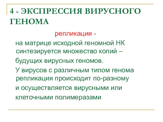 4 - ЭКСПРЕССИЯ ВИРУСНОГО ГЕНОМА репликация - на матрице исходной