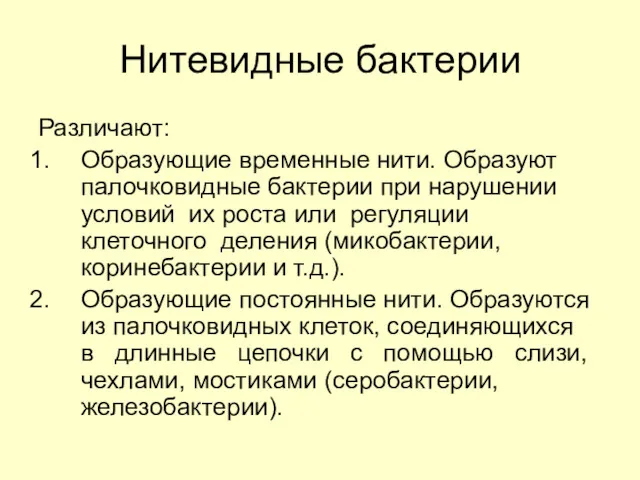 Нитевидные бактерии Различают: Образующие временные нити. Образуют палочковидные бактерии при