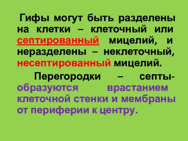 Гифы могут быть разделены на клетки – клеточный или септированный