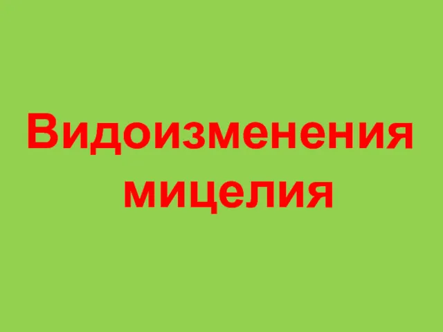 Видоизменения мицелия