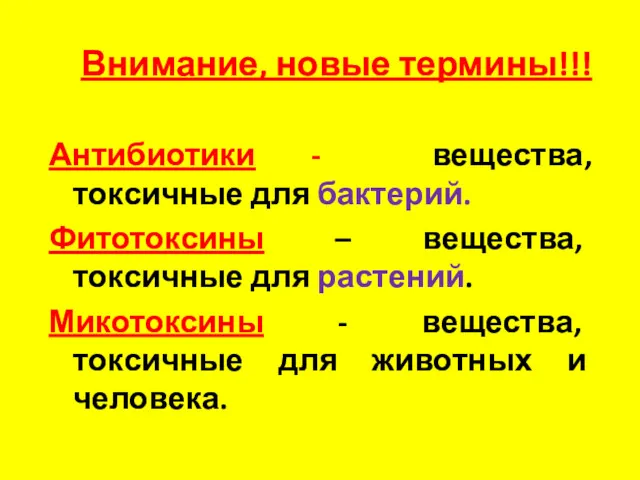 Внимание, новые термины!!! Антибиотики - вещества, токсичные для бактерий. Фитотоксины