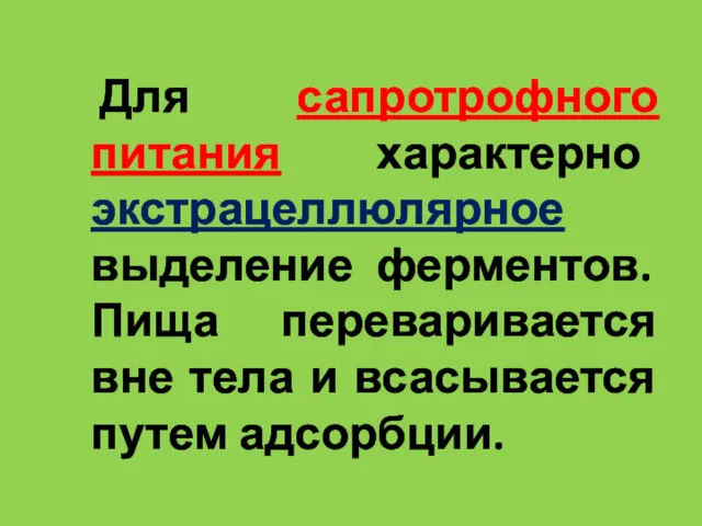 Для сапротрофного питания характерно экстрацеллюлярное выделение ферментов. Пища переваривается вне тела и всасывается путем адсорбции.